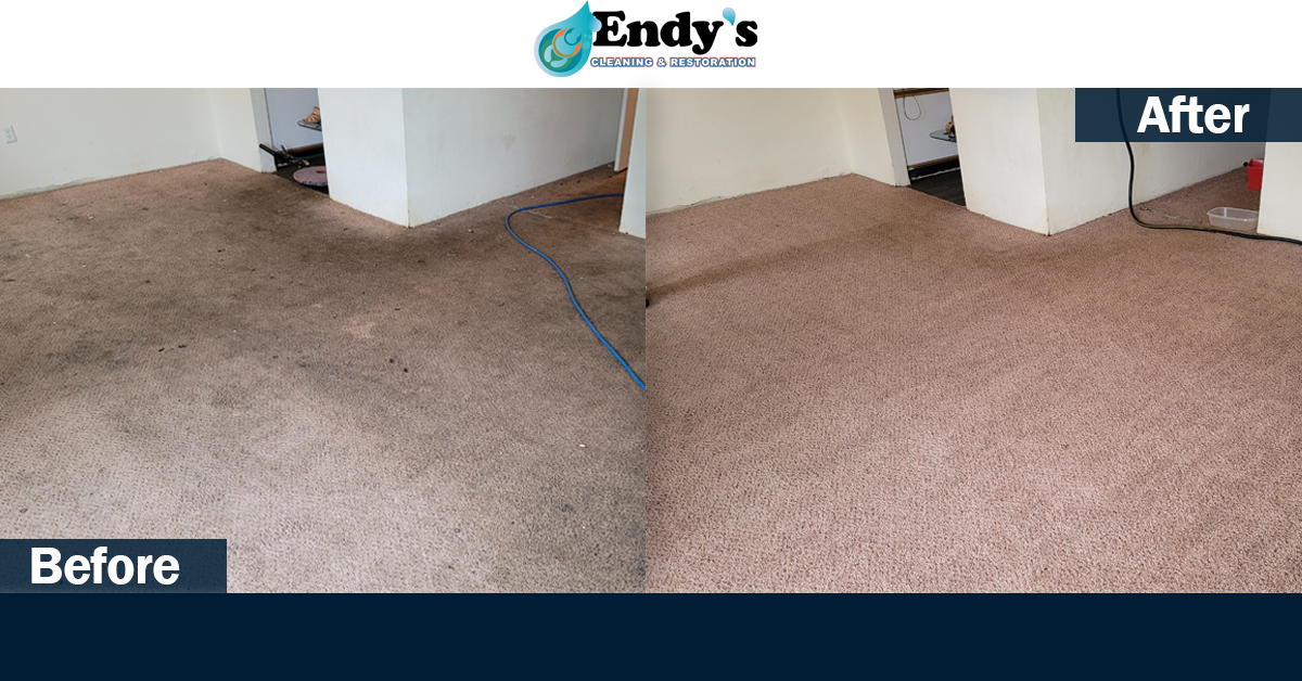 • Before and after comparison images showcasing the effectiveness of Endy’s Carpet Cleaning services, with high traffic patterns stain removal and carpet rejuvenation.