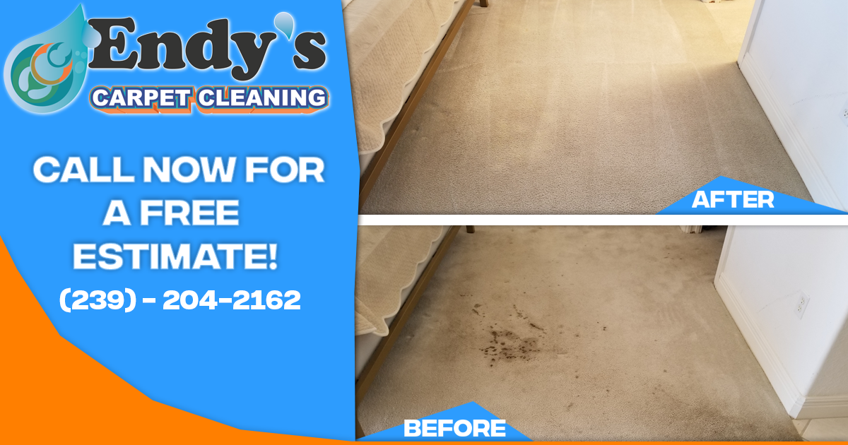 Before and after comparison images showcasing the effectiveness of Endy’s Carpet Cleaning services, with visible stain removal and carpet rejuvenation.